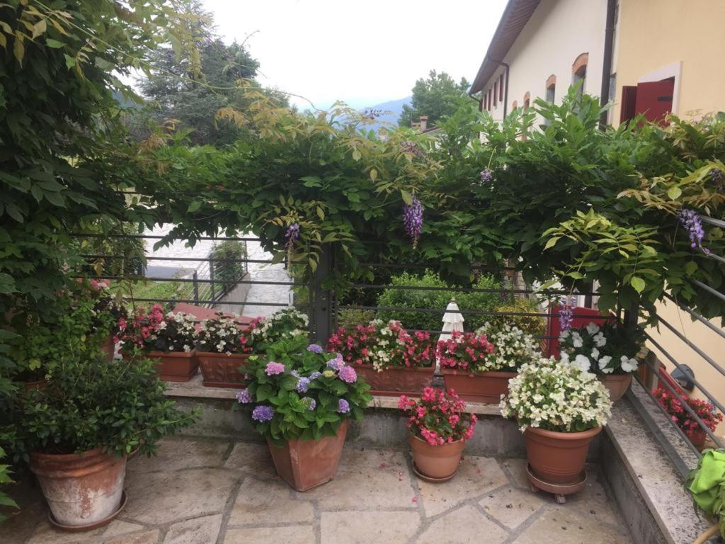 La Casa Del Glicine Hotel Tarzo Kültér fotó